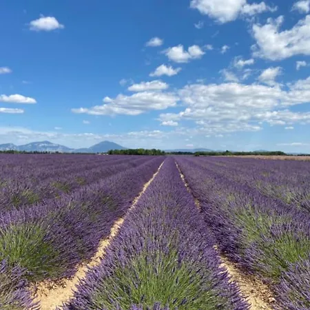 Appartement 04b8 Beautiful T3 In The Heart Of Lavender - Pool